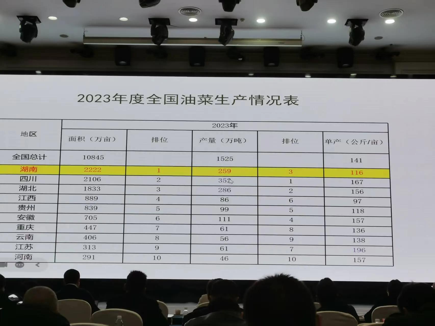 国安种业中油516杂交油菜籽进入湖南省2025新品种引进目录(图3)