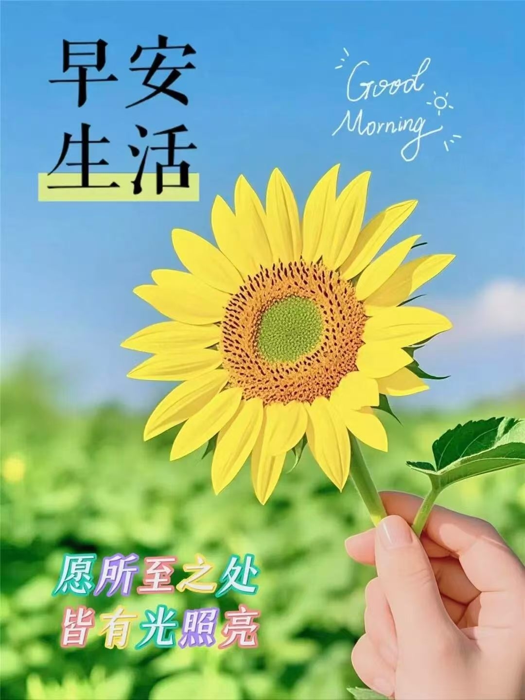 <strong>电商“AB货”</strong>